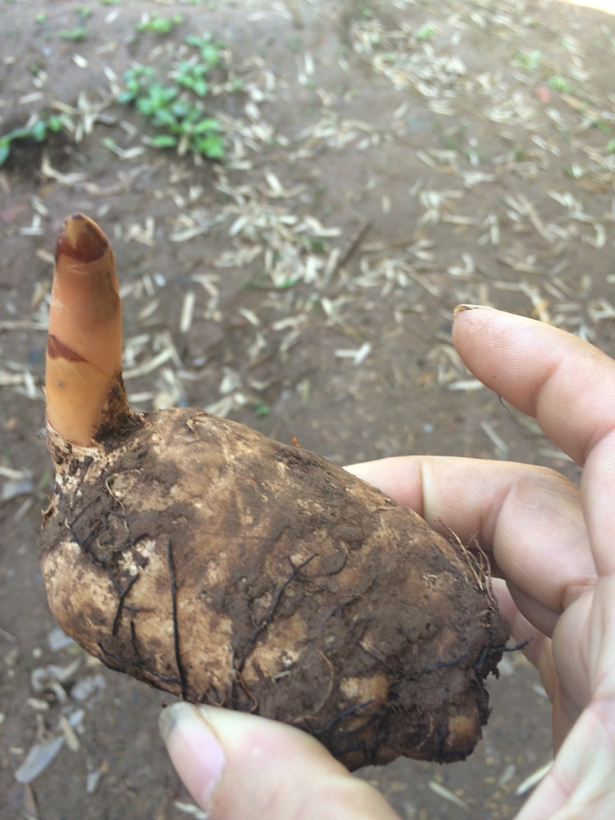 ��Ӧ�����ݻ�ӭ������ϵ��